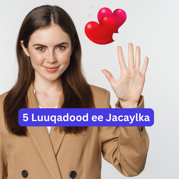 5 luuqadood ee jaceylka sidee ku hanan kartaa lamaanahaga