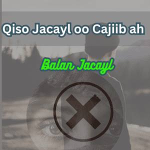 Read more about the article QISO JACAYL OO CAJIIB(QISO DHAB AH)