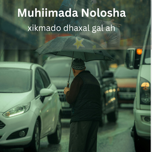 MUHIIMADDA NOLOSHA (xikmado cajiib ah)